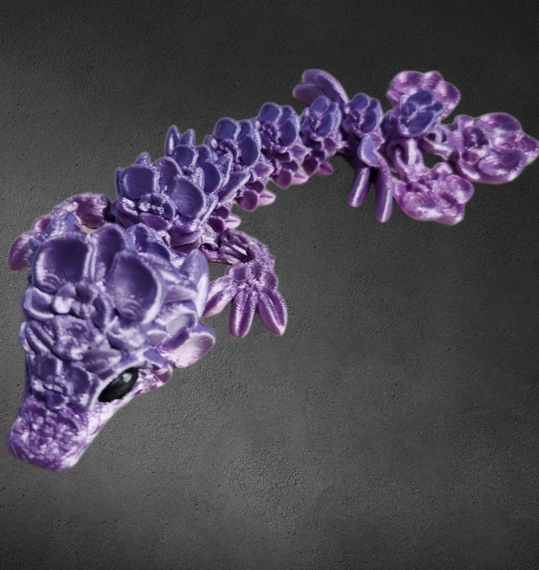 Orchideen drache- lila