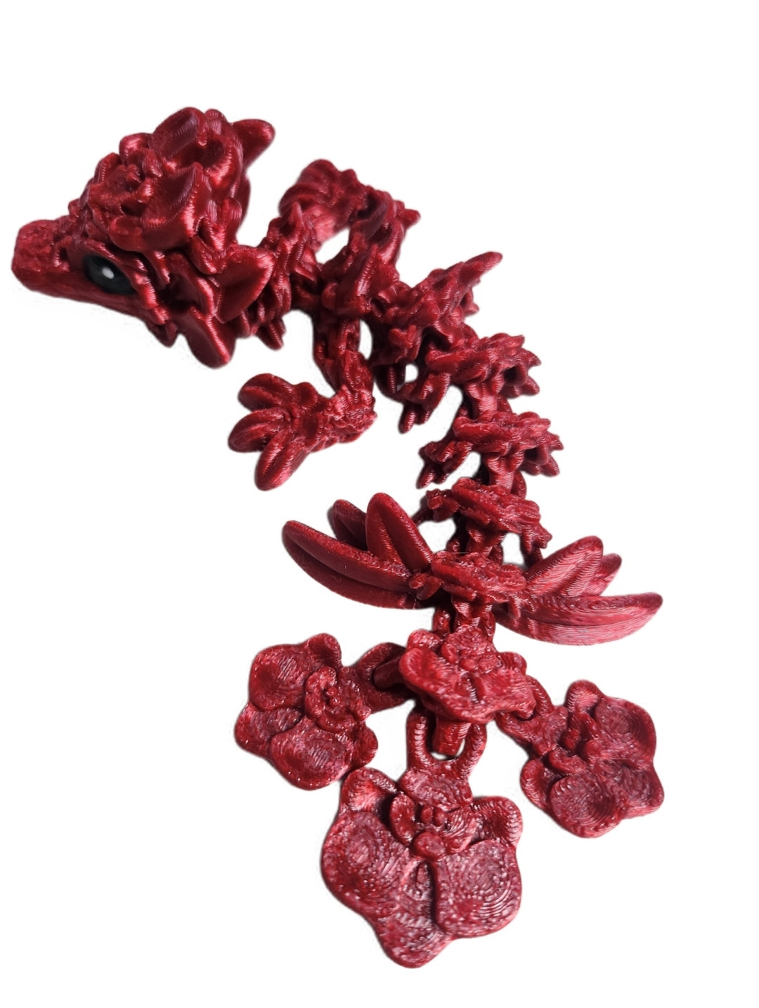 Orchideen drache- rot