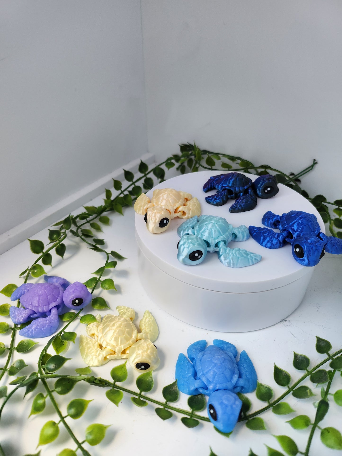 Mini Schildkröten