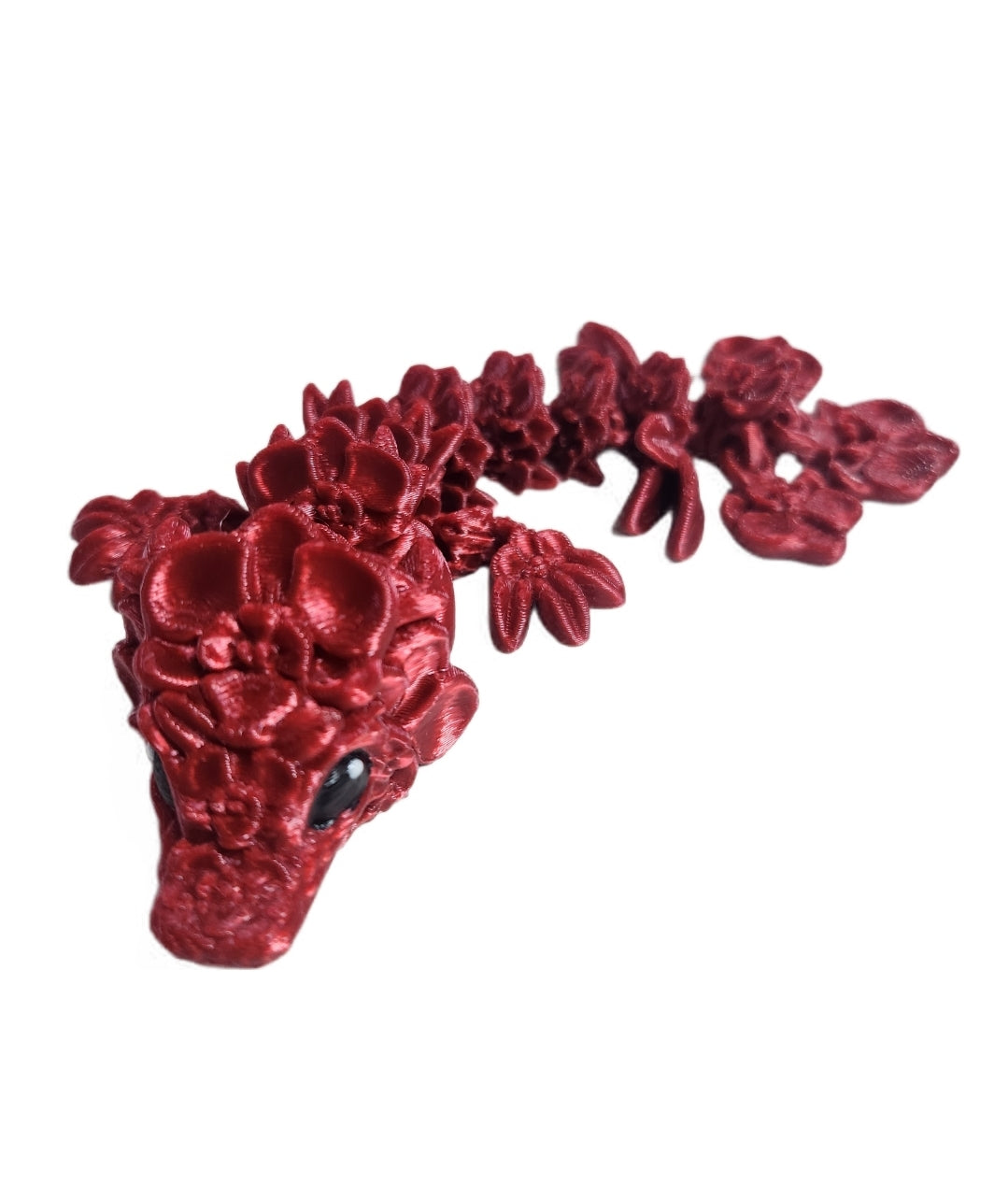 Orchideen drache- rot