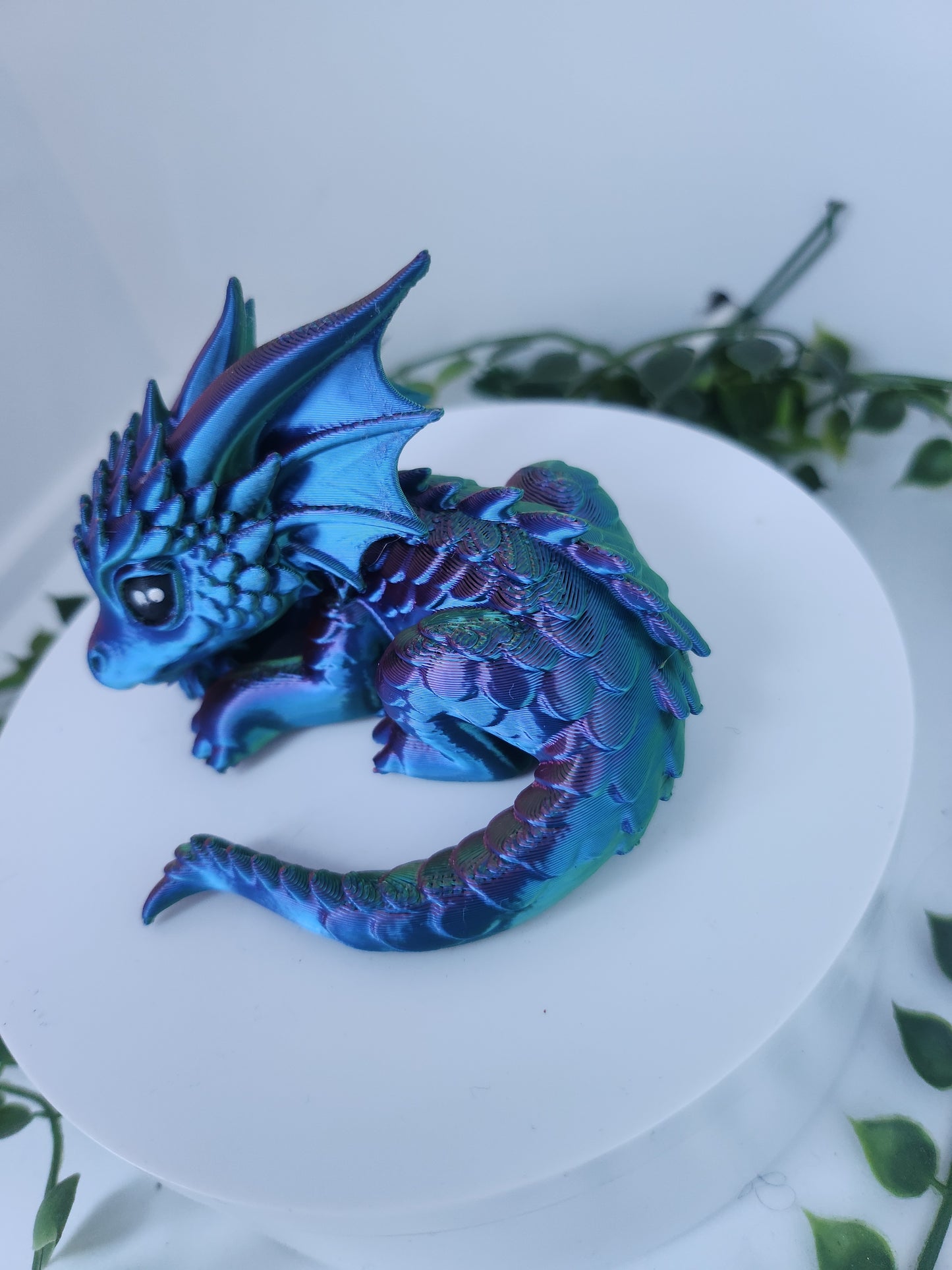 Schlafdrache dreifarbig