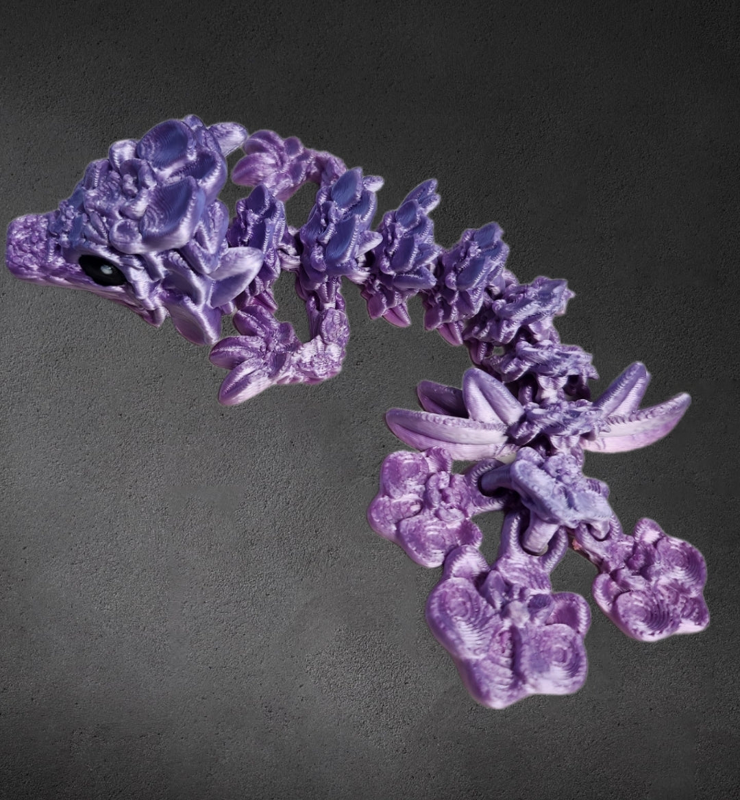 Orchideen drache- lila