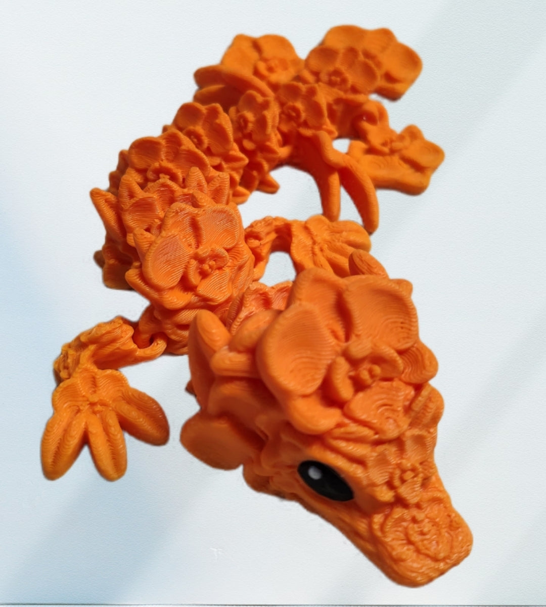 Orchideen drache - Orange
