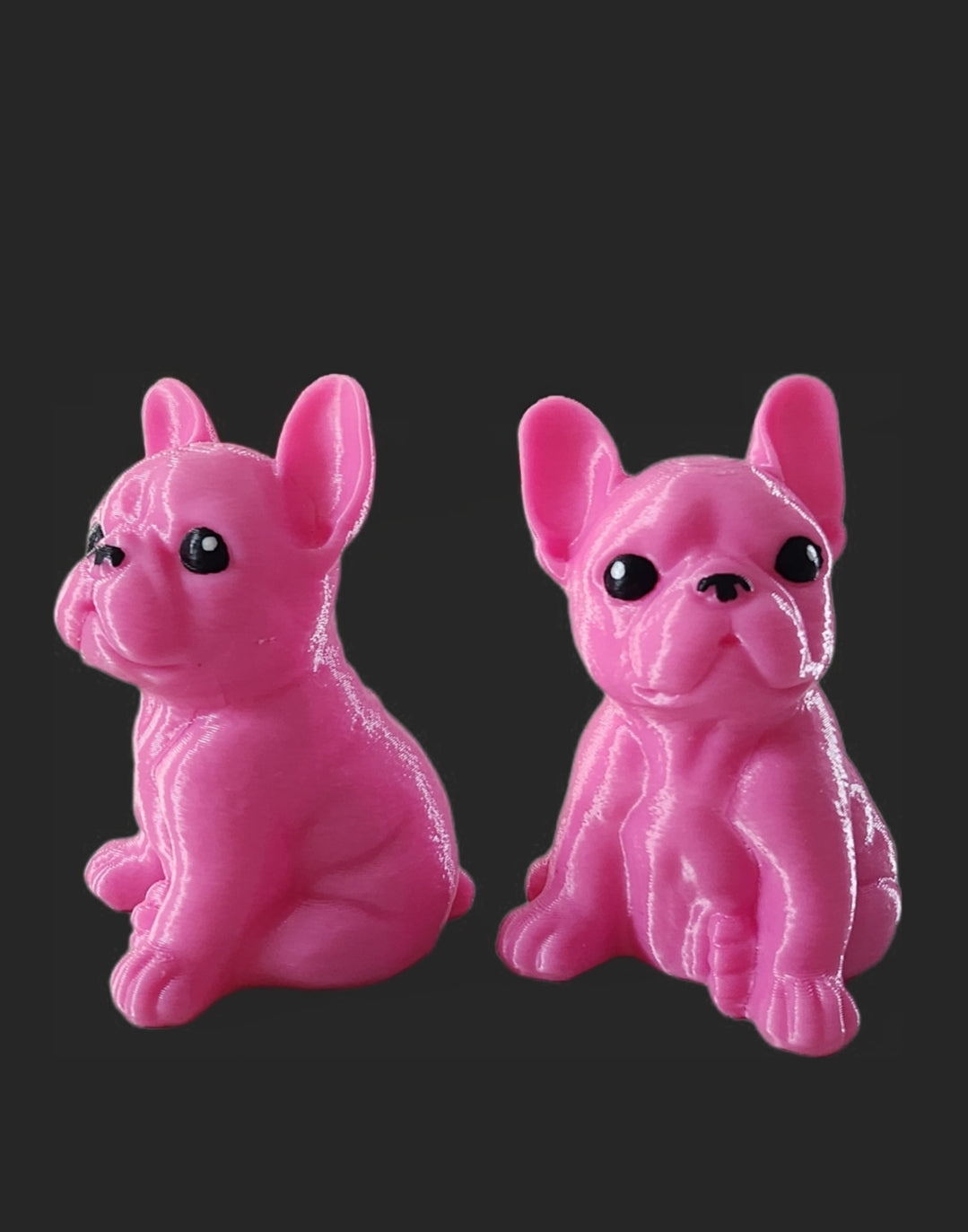 Bully - Rosa