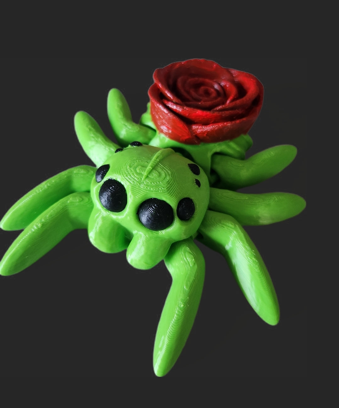 Xl Rosen spinne- grün