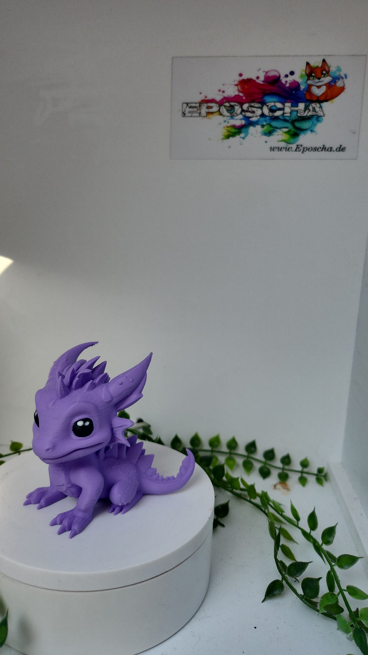 Stacheldrache lila