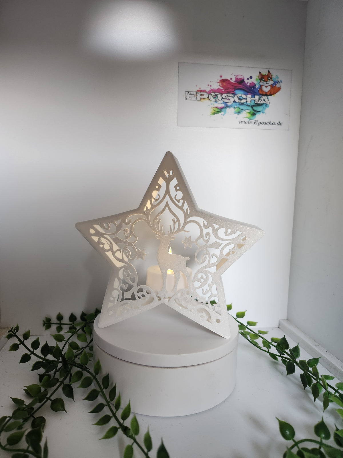 LED Ornament Stern