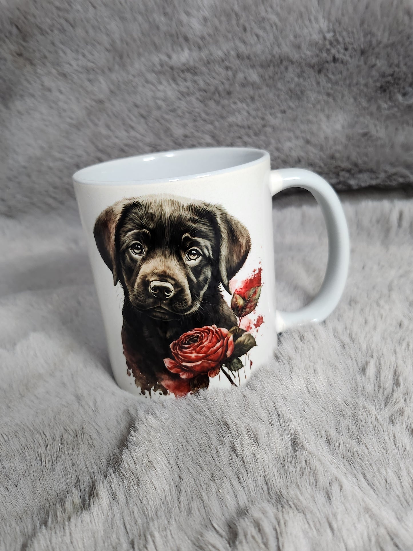 Labrador