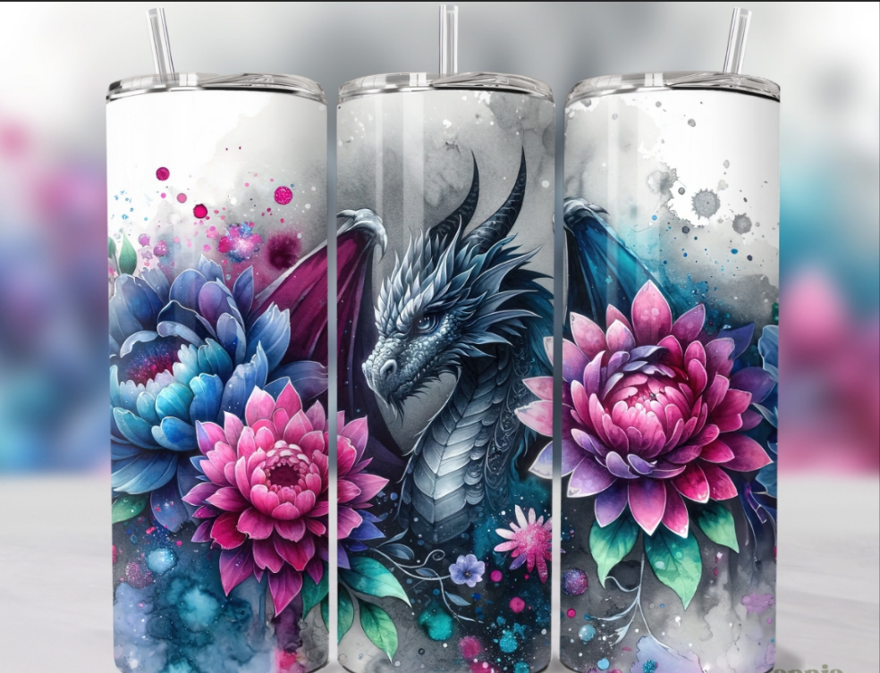 Sukulenten Drachen