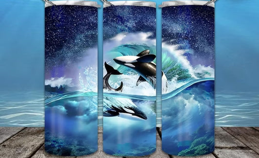 Orca Ozean