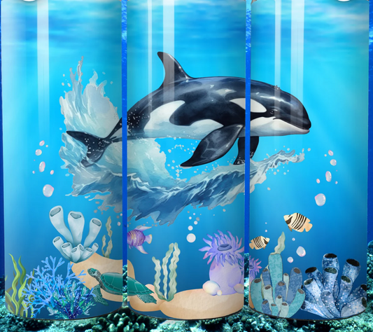 Orca