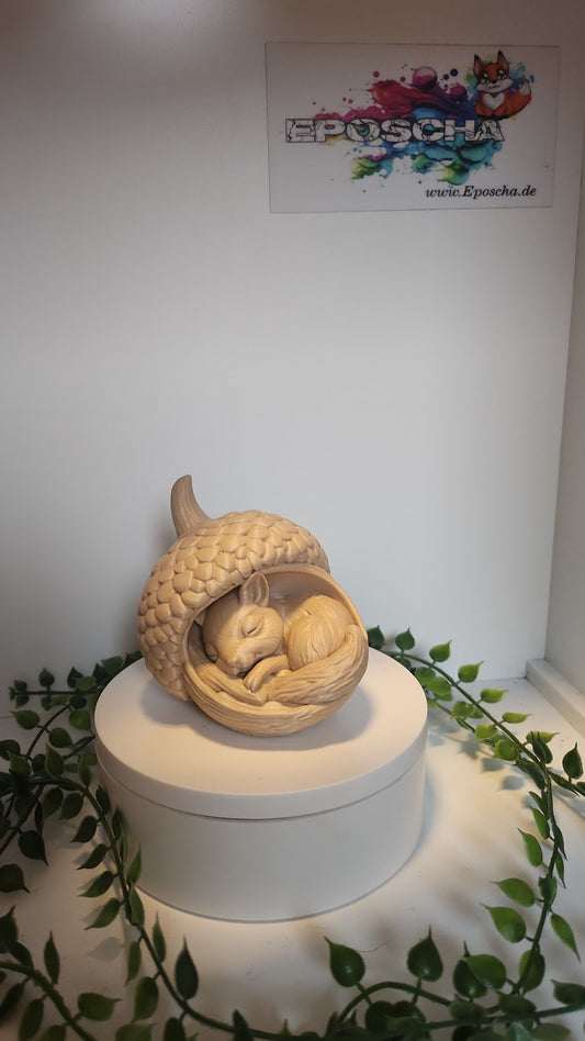 Eichhörnchen in Eichel