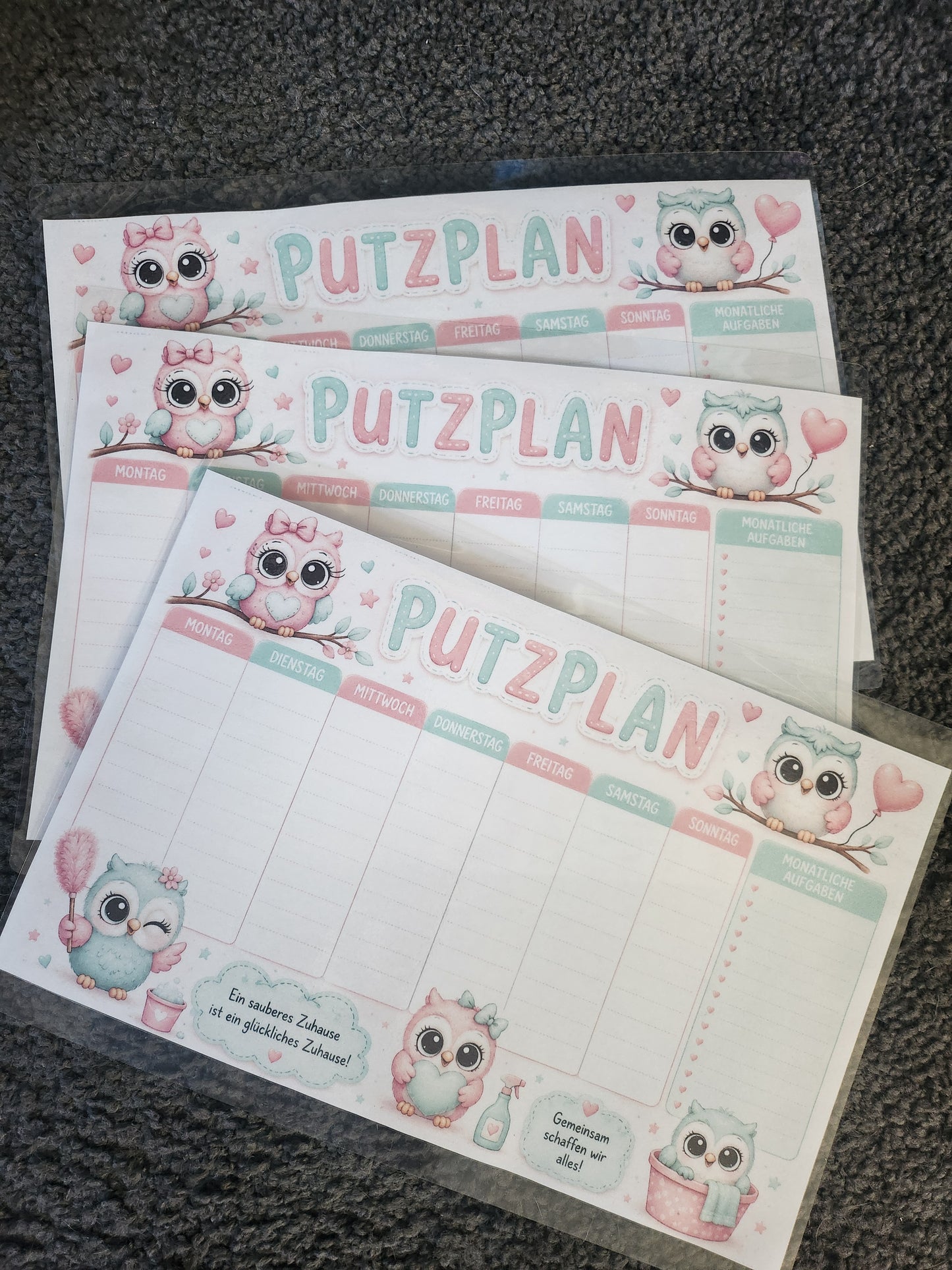 Putzplan eule