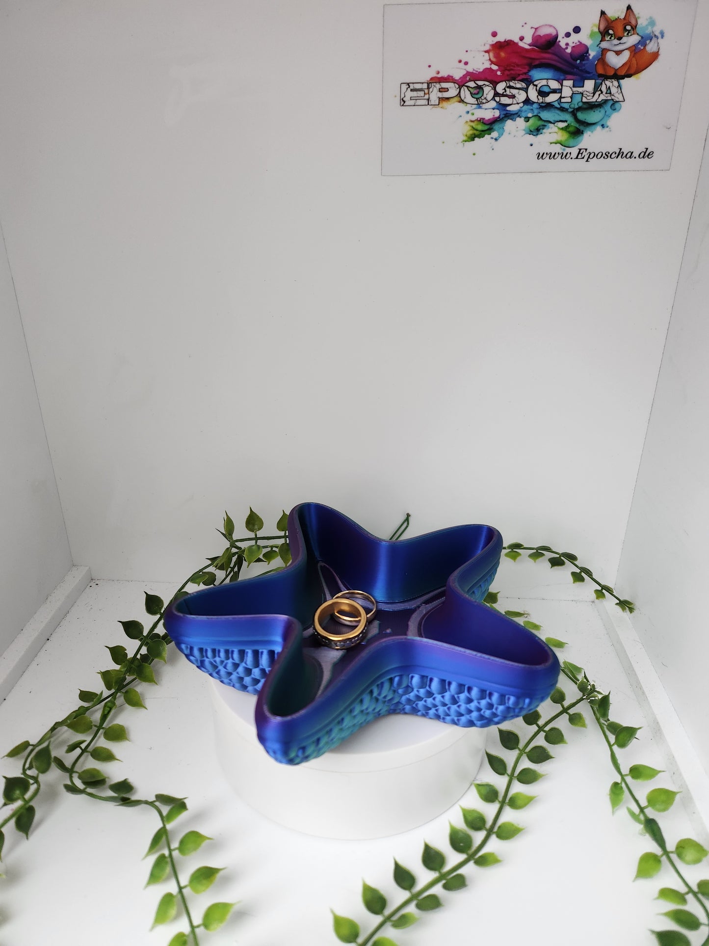 Seestern schale