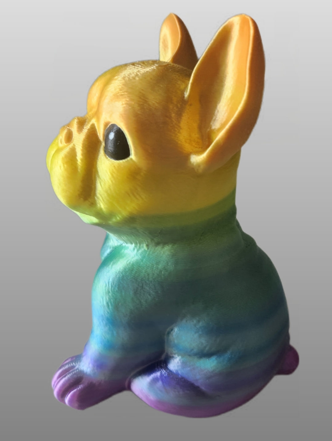 Xl Bully - Rainbow