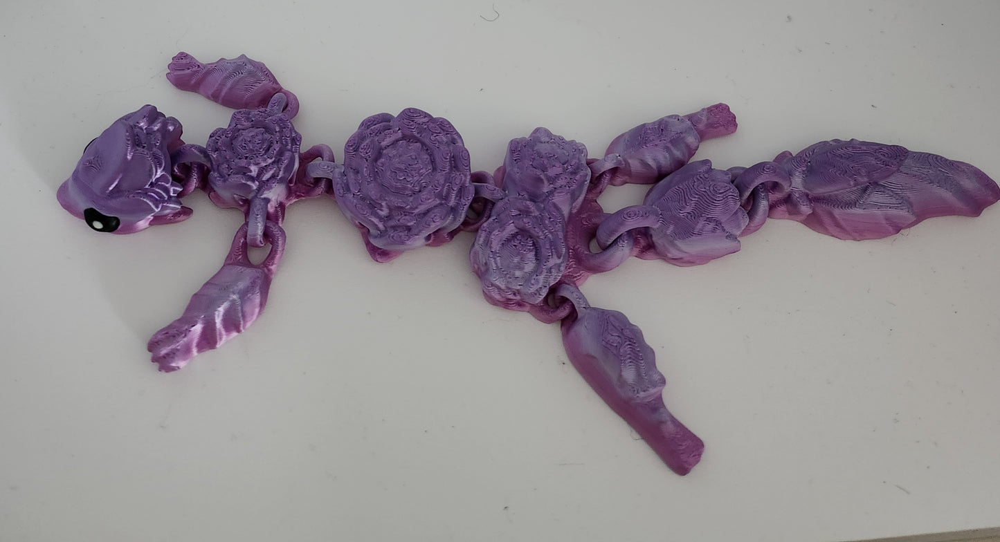 Lotusblumen-Blüten drache lila