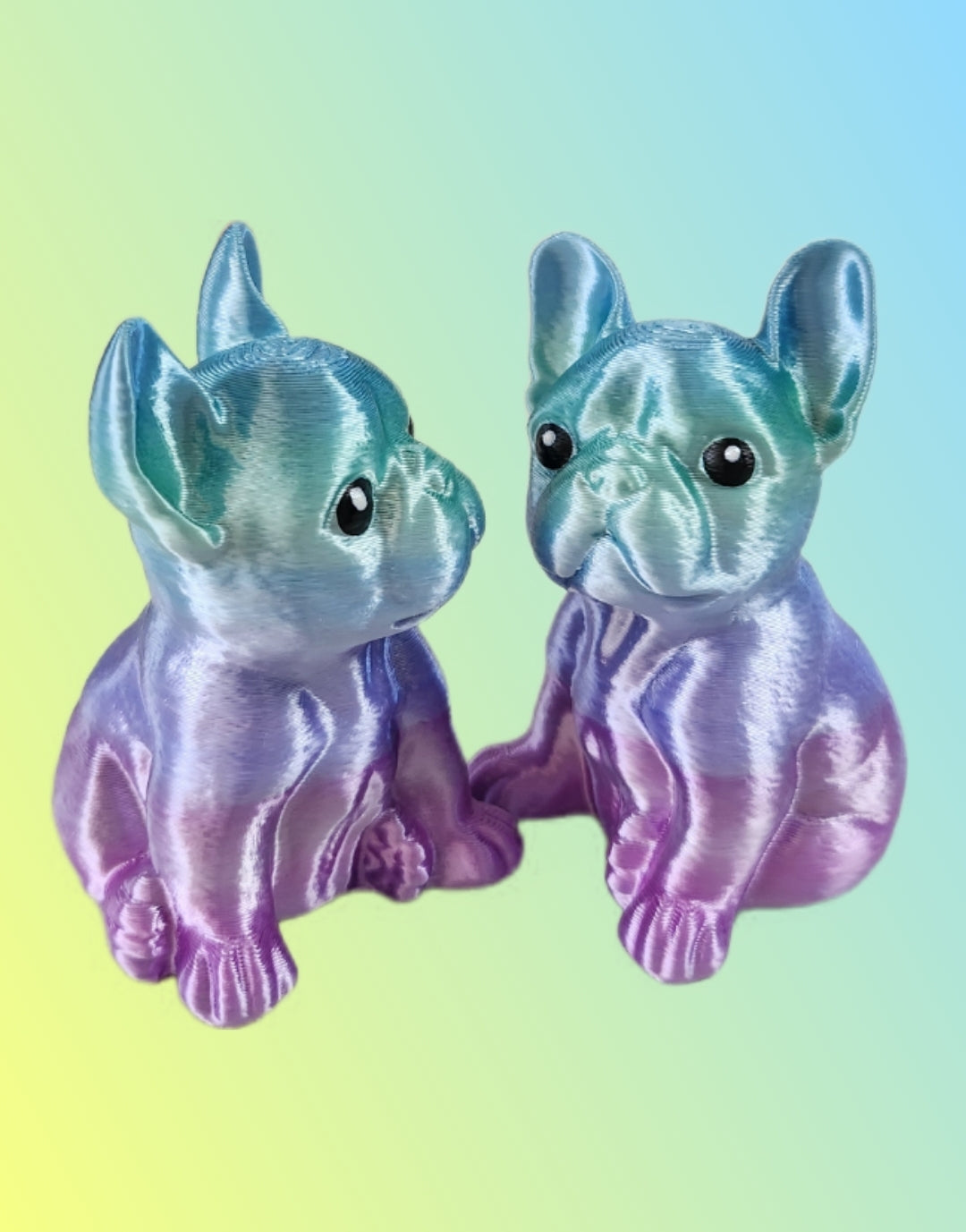 Bully - Rainbow