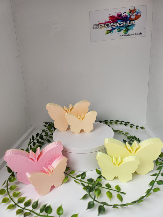 Schmetterling sets