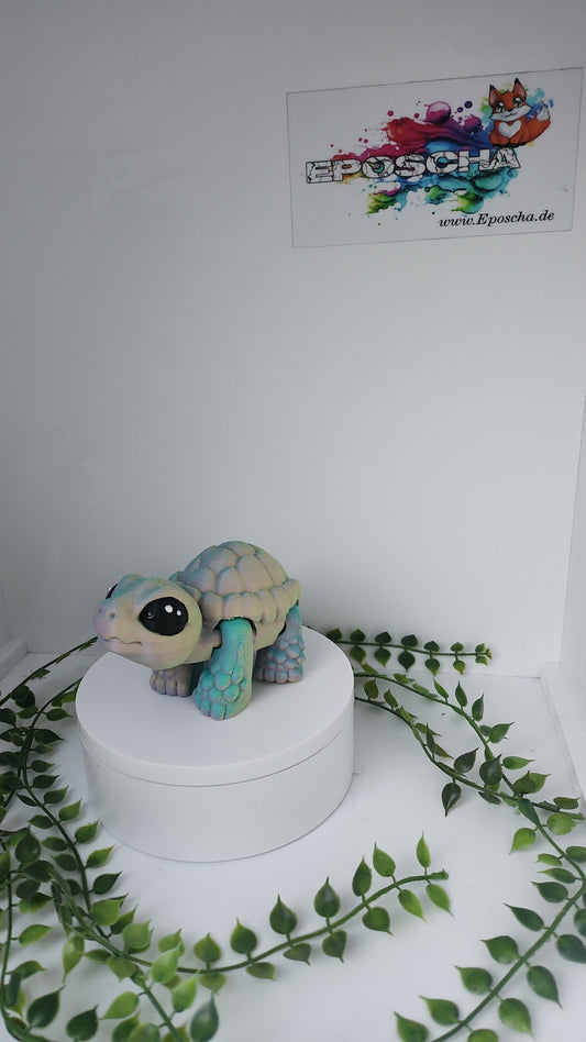 Biggi Landschildkröte - Tricolor matt