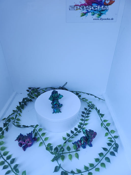 Mini Muschel drache
