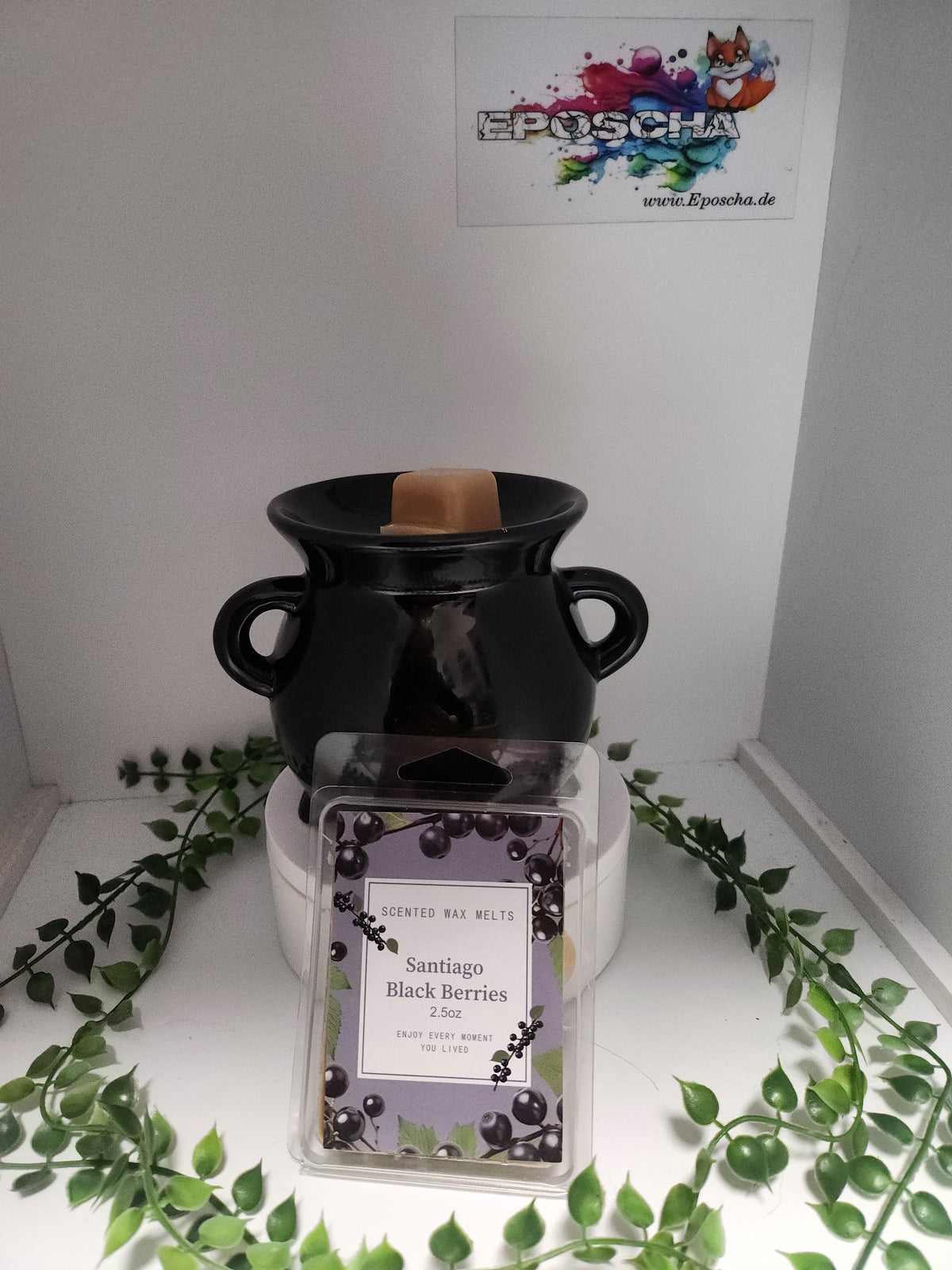 Waxbar- Schwarze Beeren