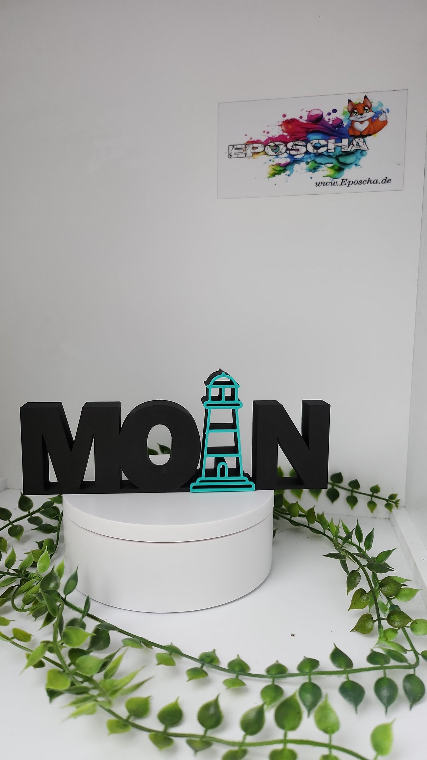 Moin schwarz/mint