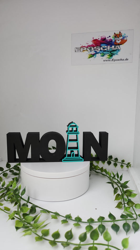 Moin schwarz/mint
