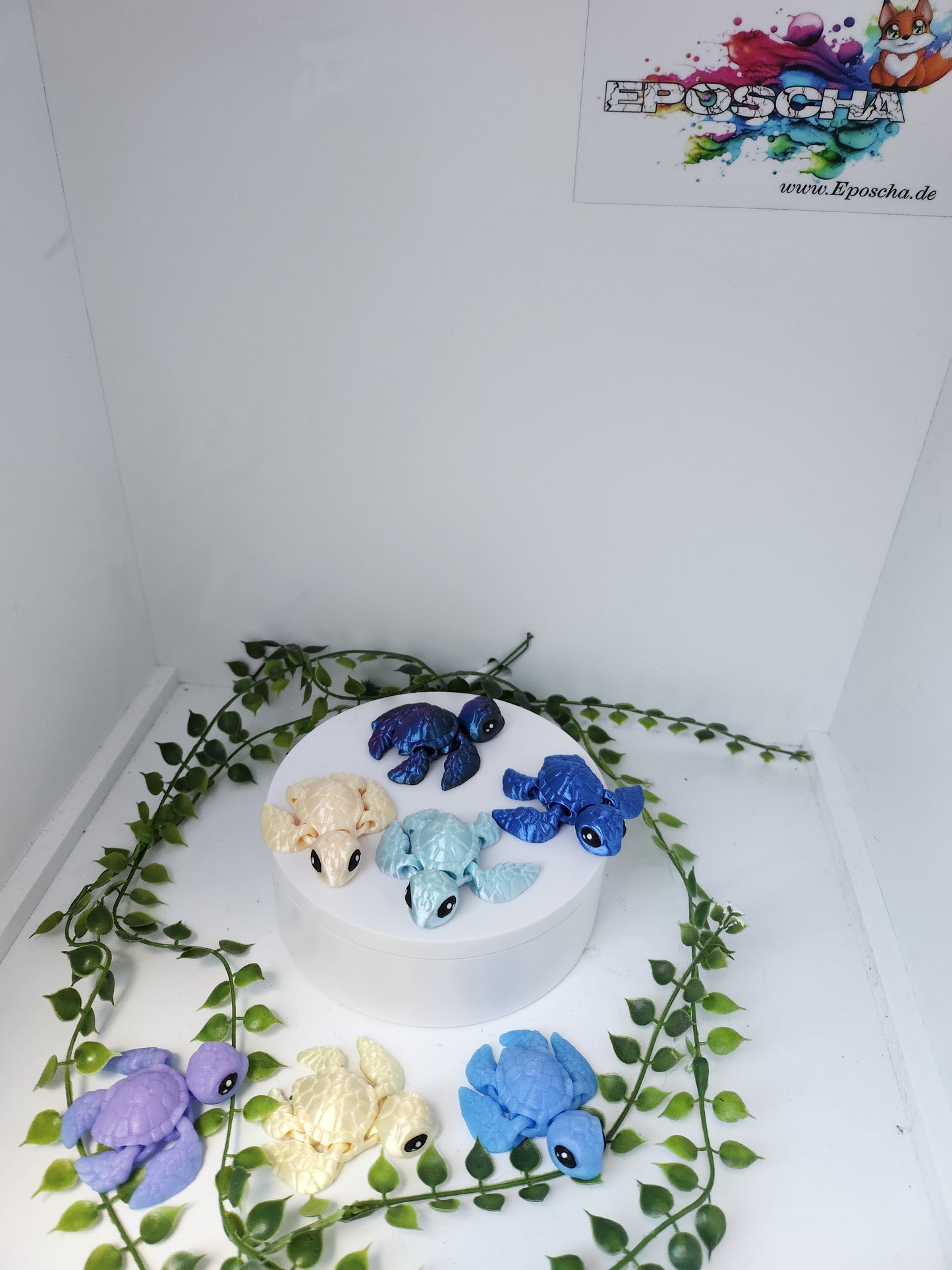 Mini Schildkröten