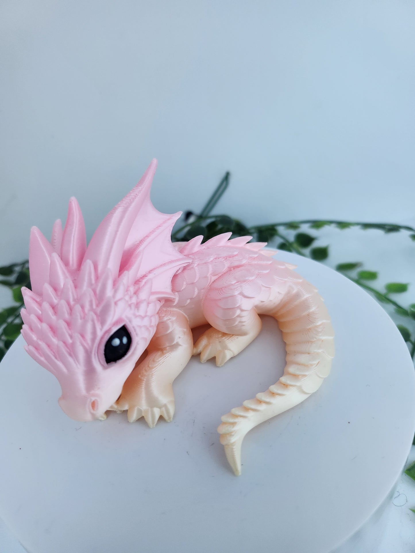 Schlafdrache ombre