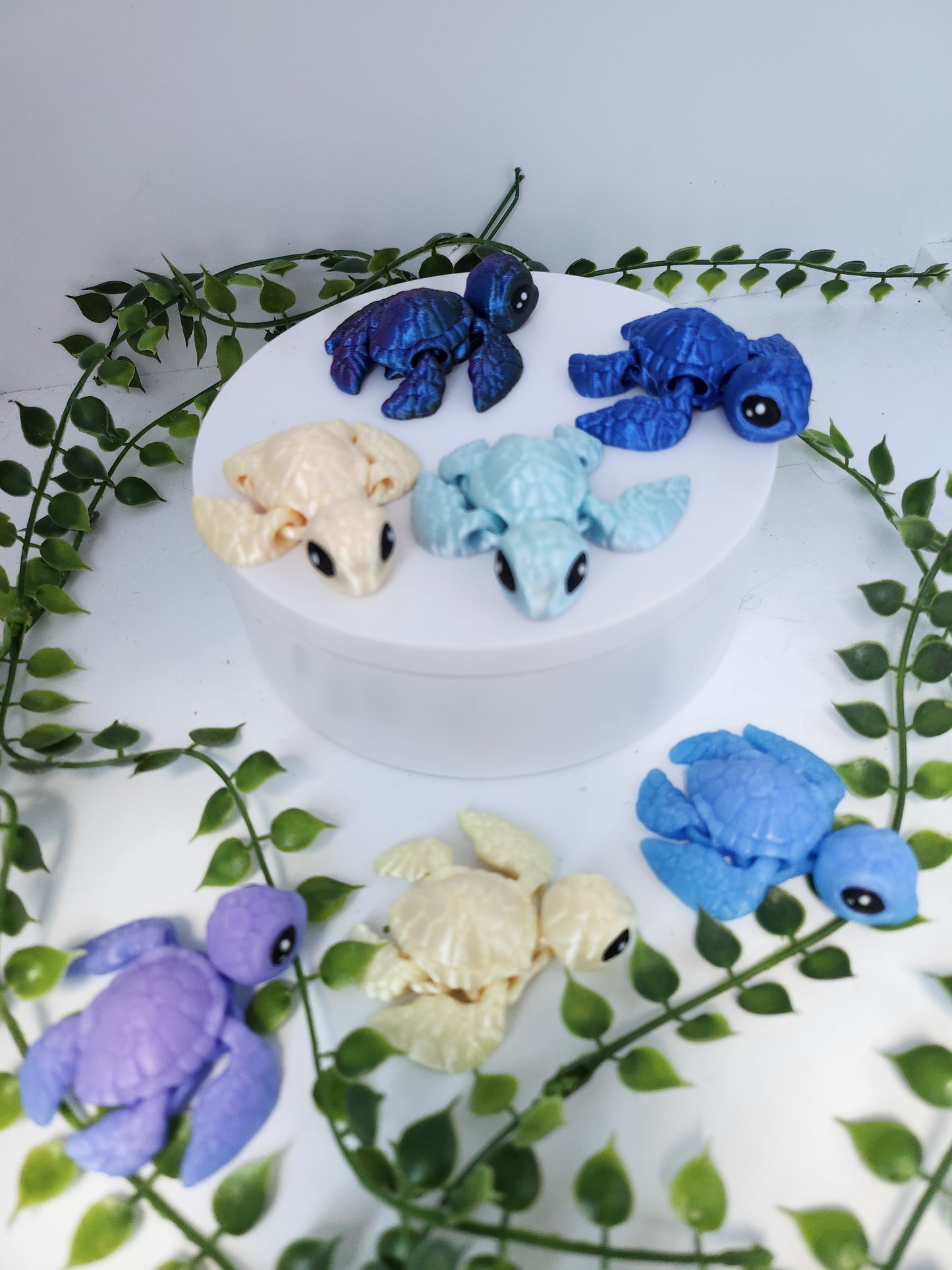 Mini Schildkröten