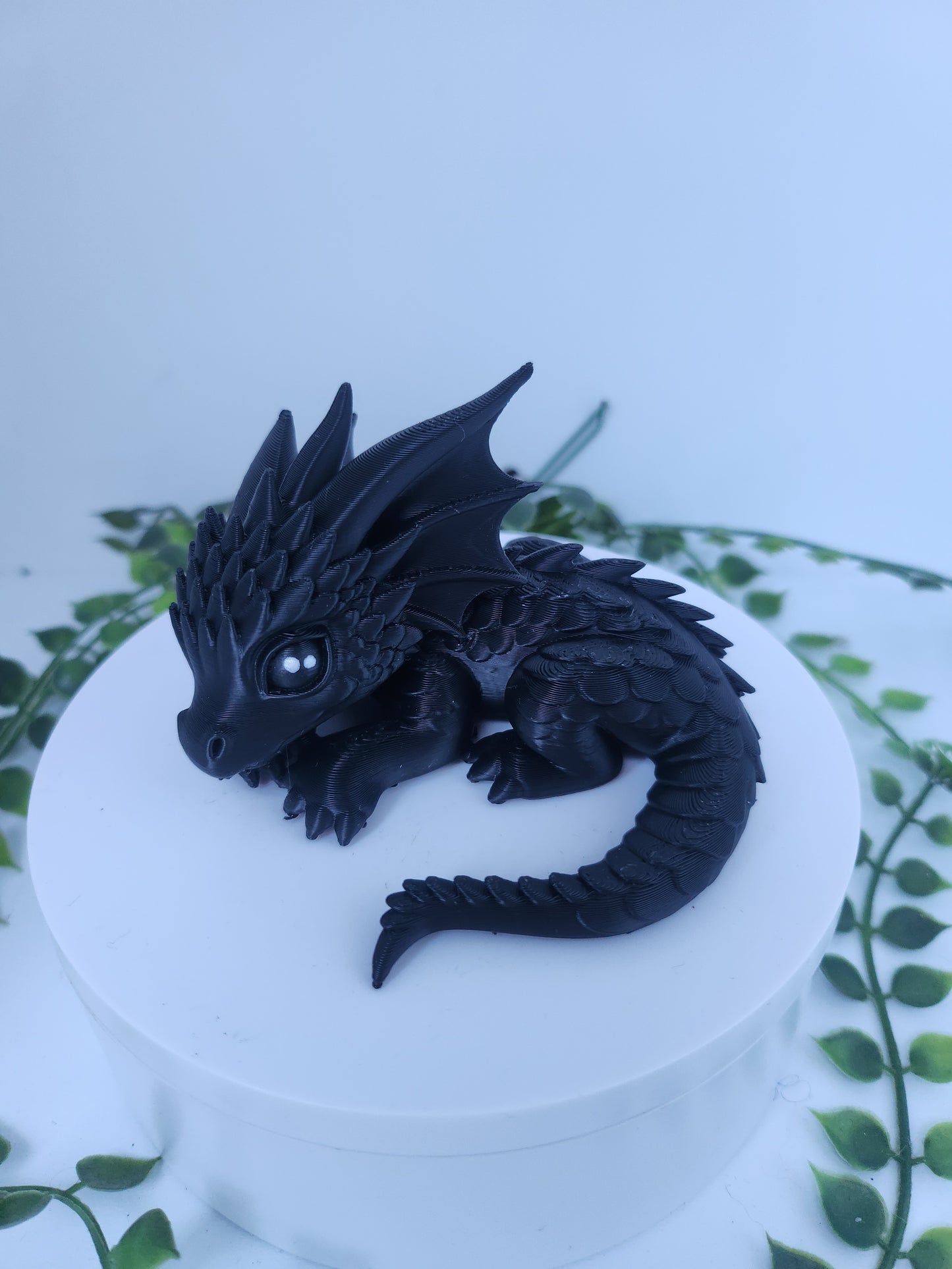 Schlafdrache schwarz