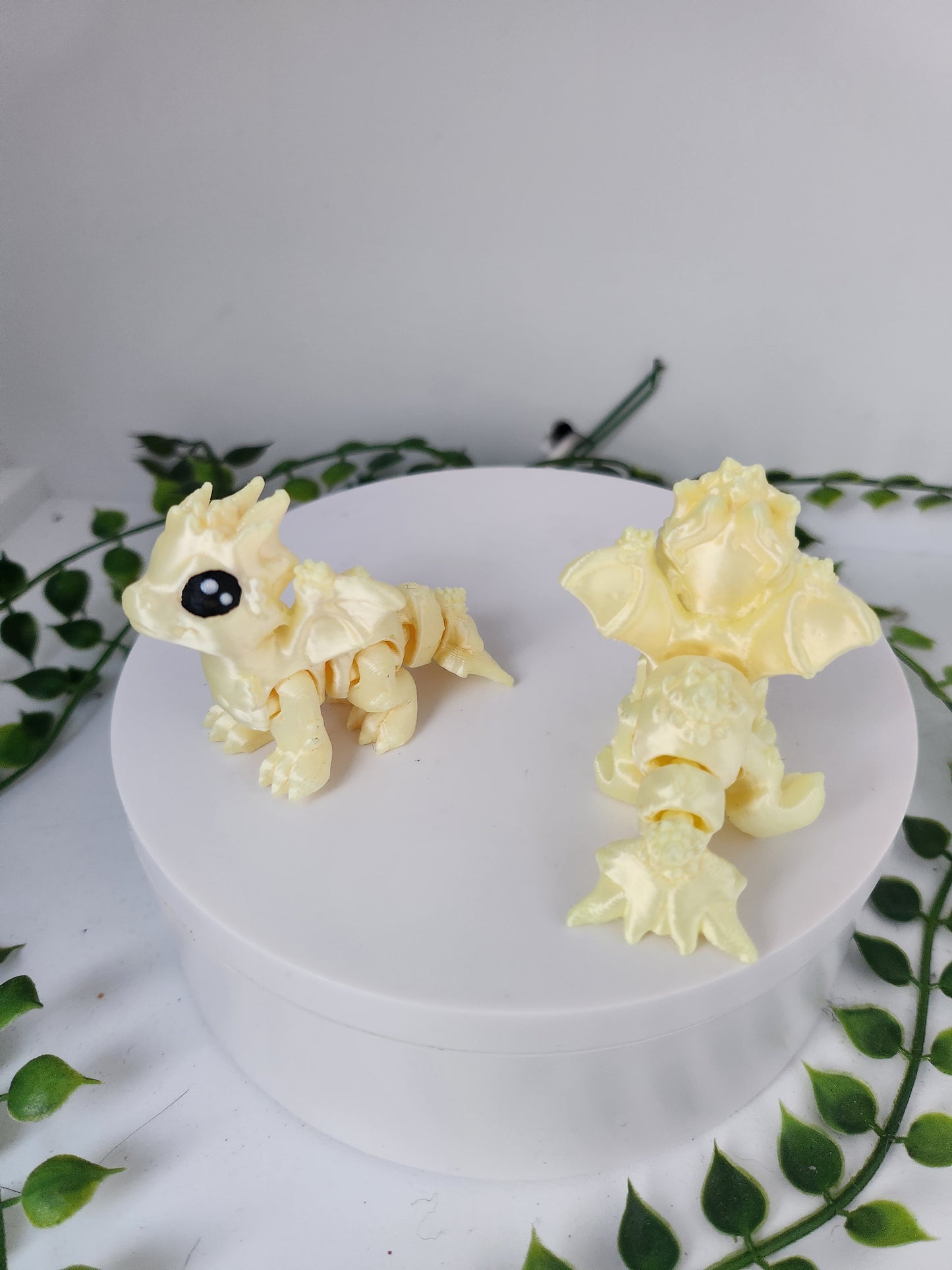 Mini Ozean drache