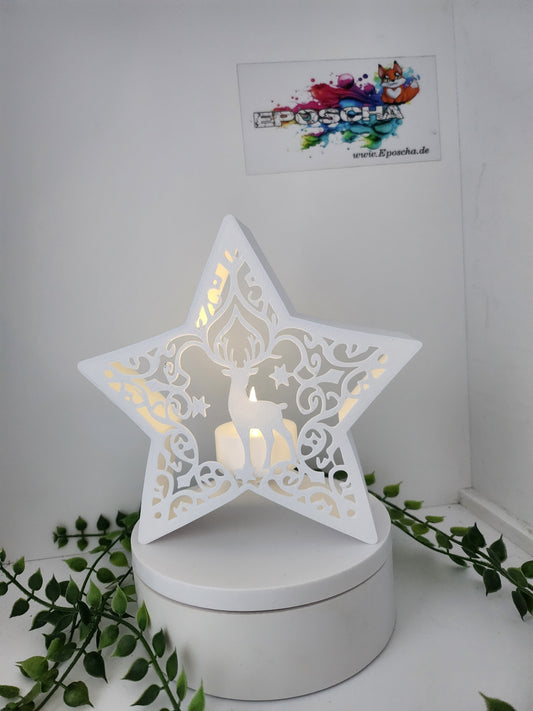 LED Ornament Stern
