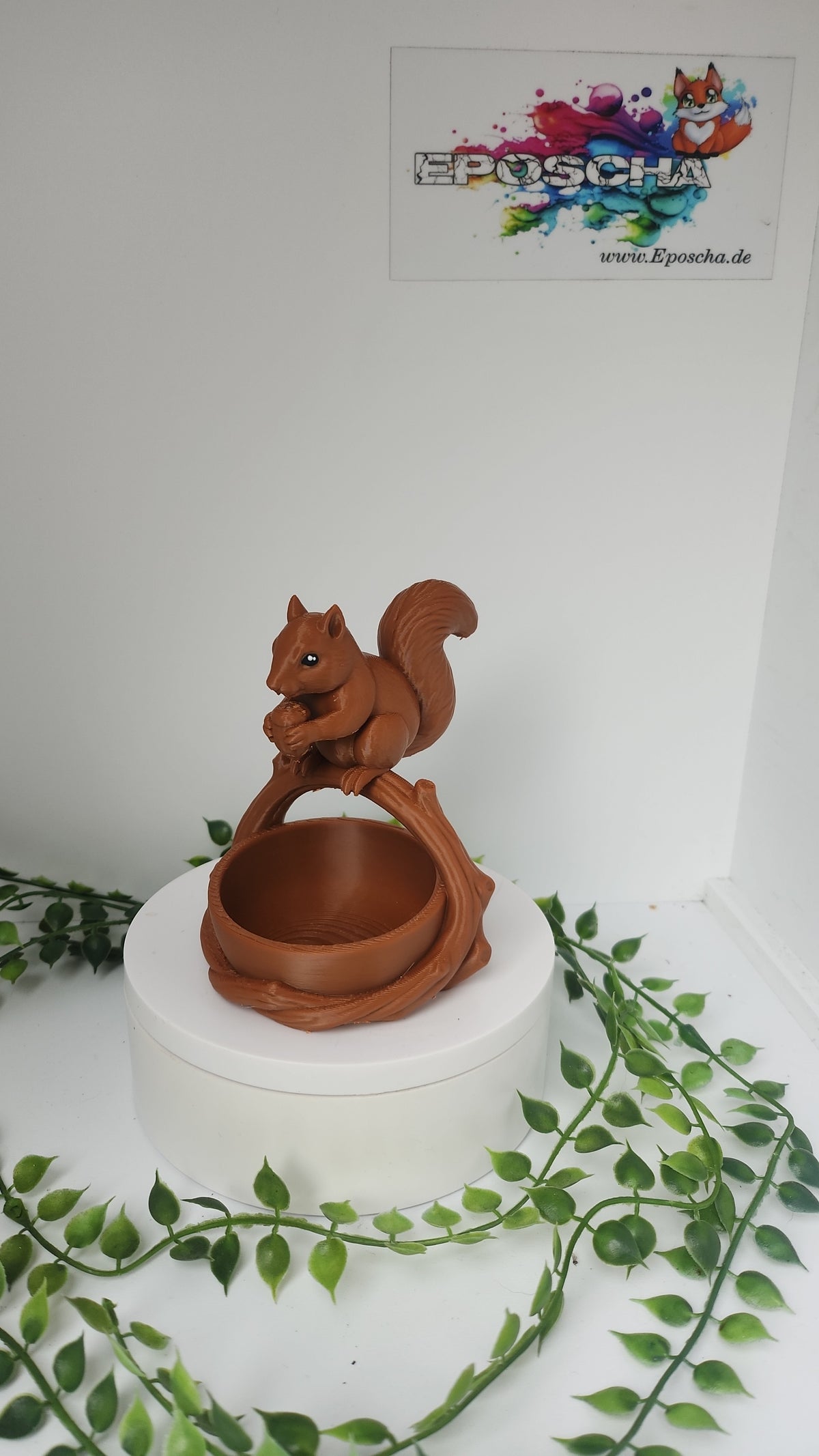 Eichhörnchen schale