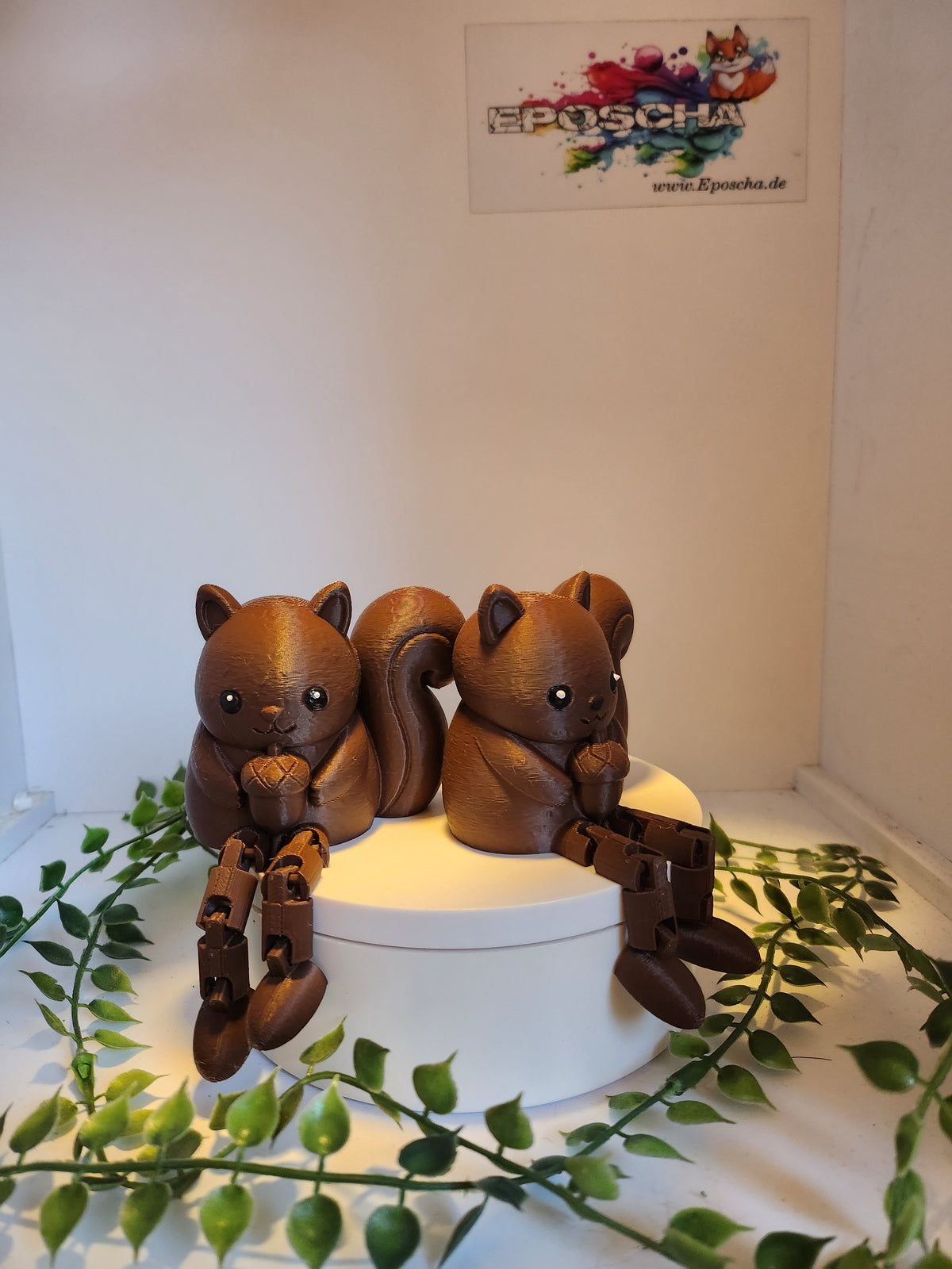 Kantenhocker- Eichhörnchen