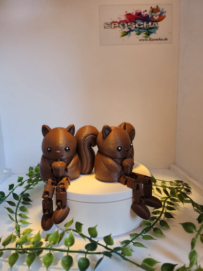Kantenhocker- Eichhörnchen