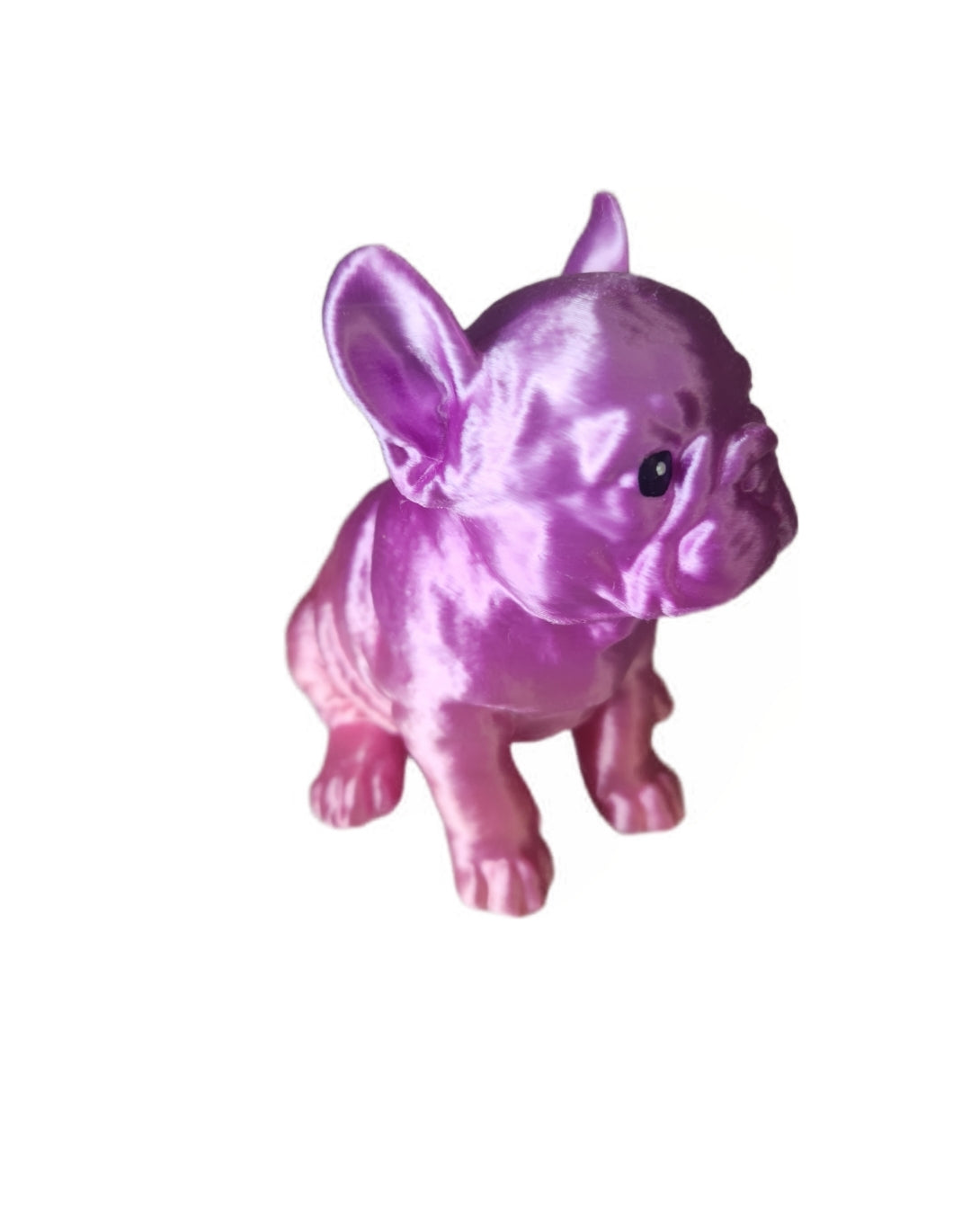 Französische Bulldogge rosa