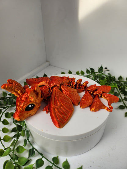 Motten drache - gold/rot