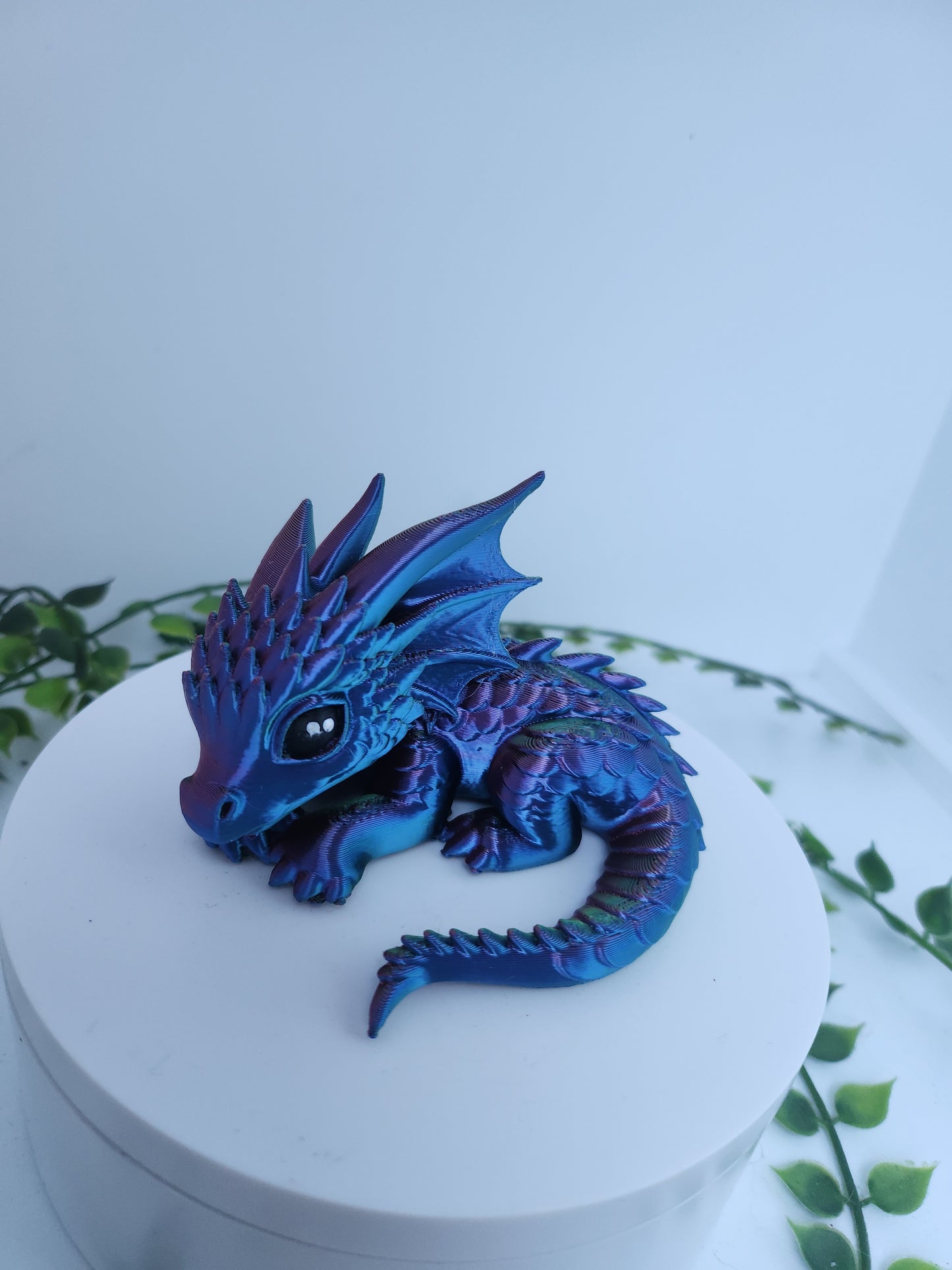 Schlafdrache dreifarbig