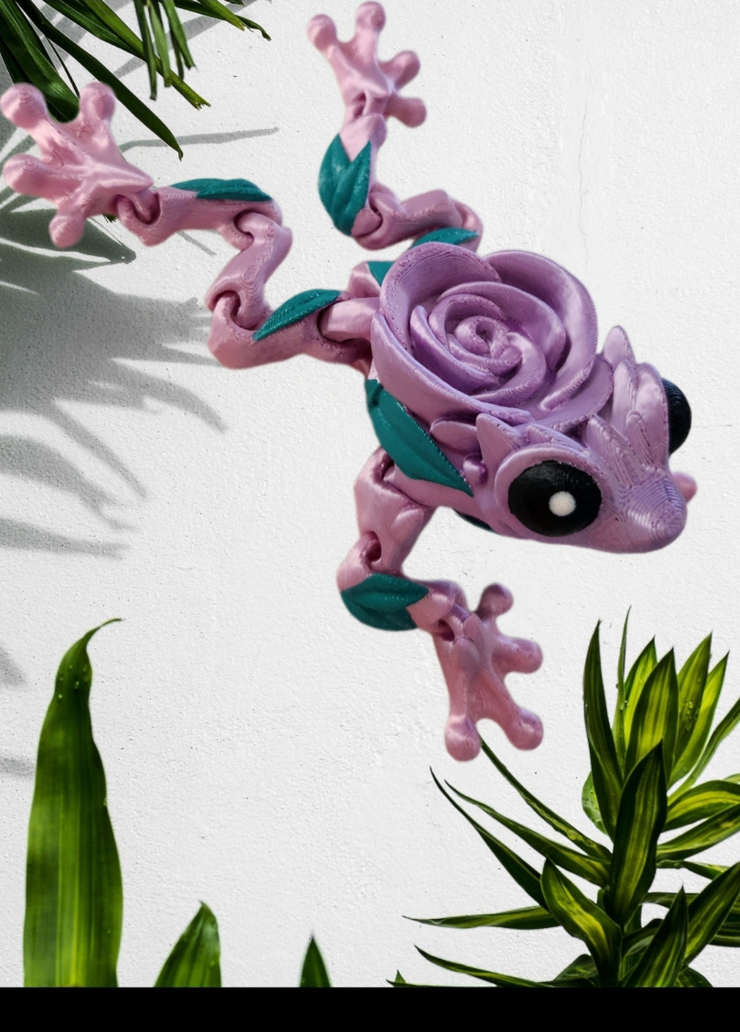 Rosen Frogy - rosa