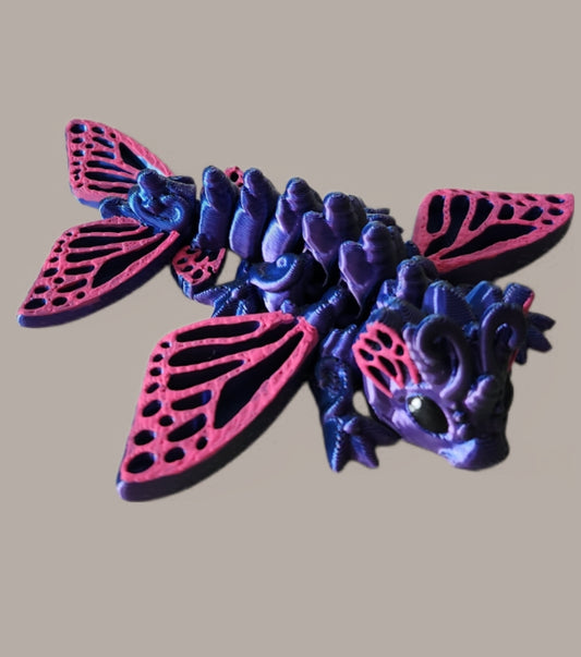 Schmetterlingsdrachen dreifarbig