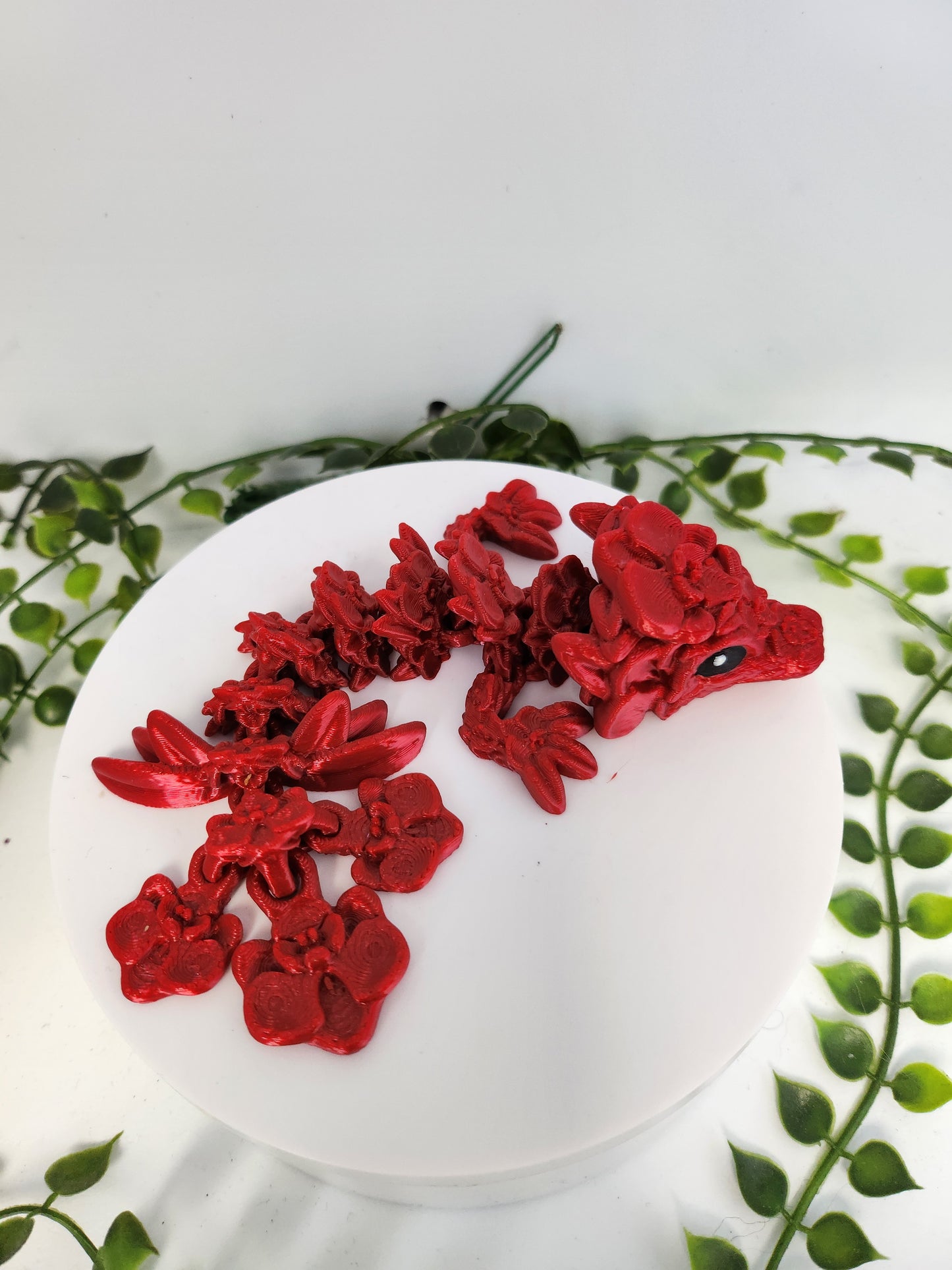 Orchideen drache - rot