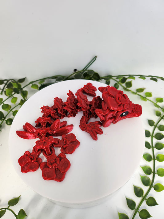Orchideen drache - rot
