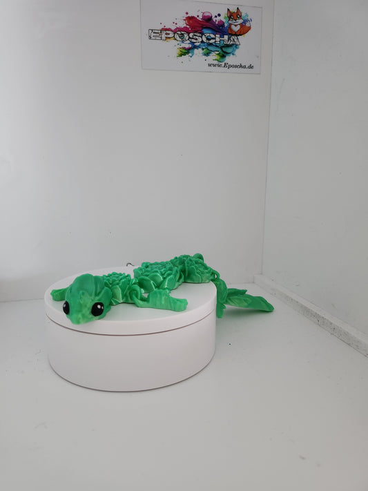 Lotusblumen-Blüten drache grün