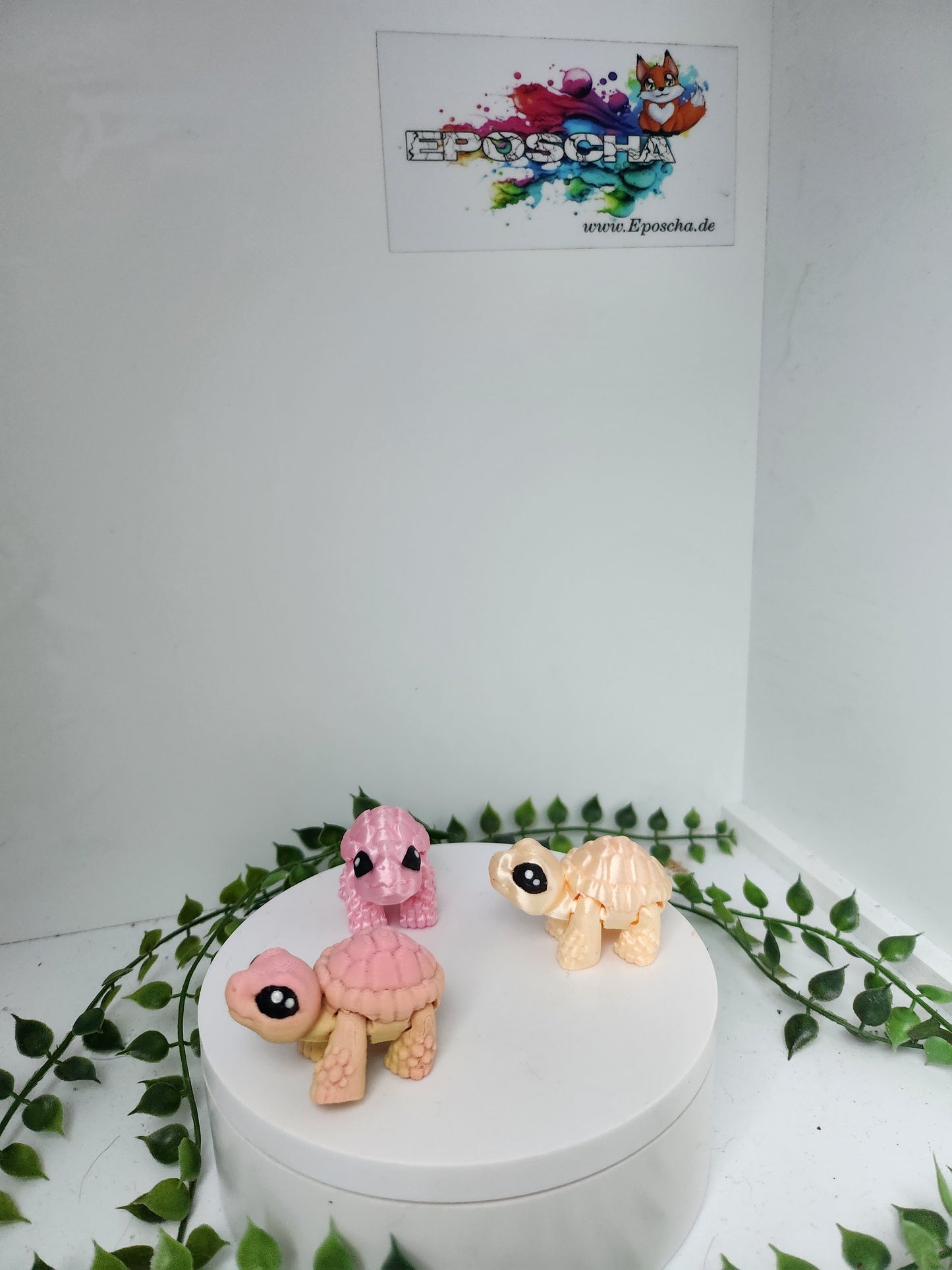 Mini Landschildkröte