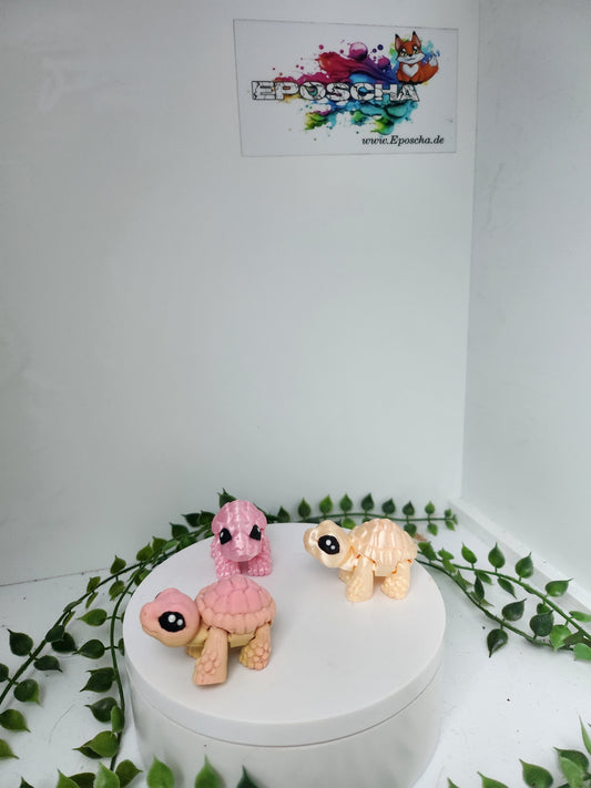 Mini Landschildkröte