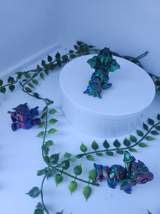 Mini Muschel drache
